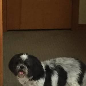 Meet your Posher, Fran